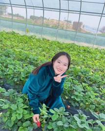 必赢集团网站